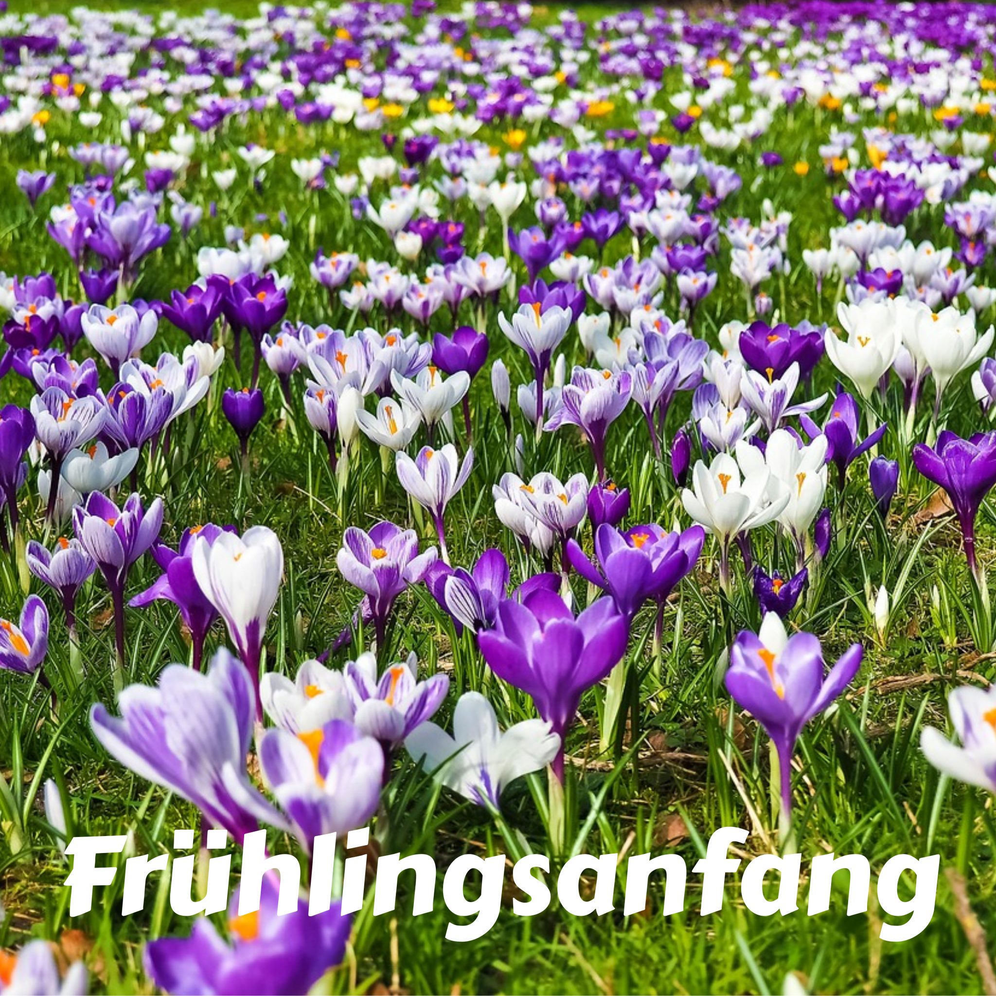 Fruhlingsanfang 2023 Bilder Kostenlos