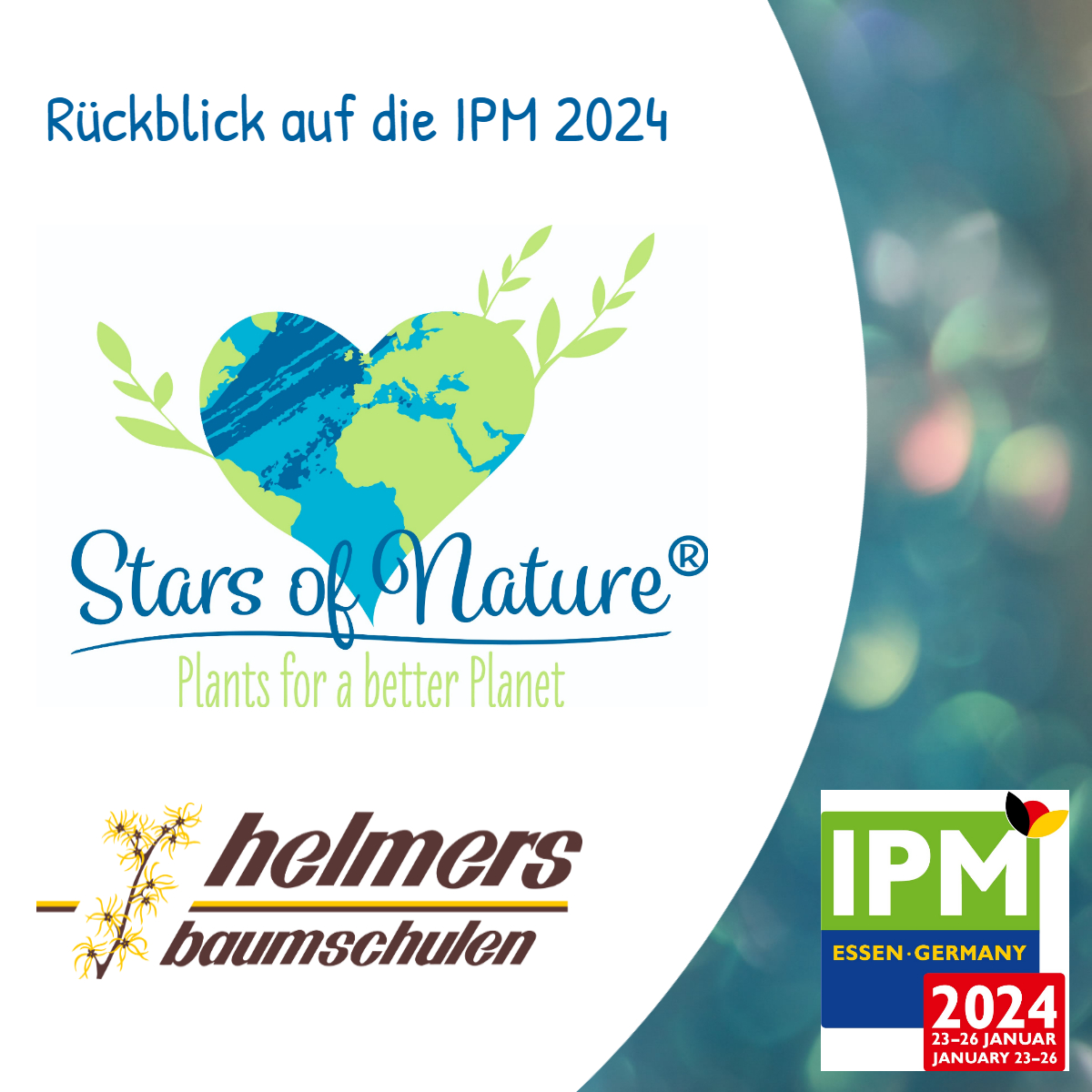 Leta Helmers Rückblick IPM 2024 – Helmers Baumschulen