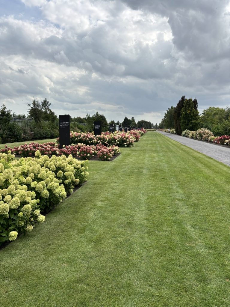 Schaugarten bei Alex Schomaker