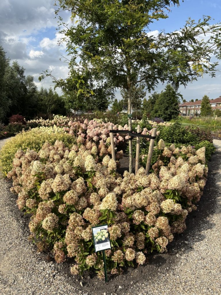 Öffentlicher Schaugarten in Boskoop