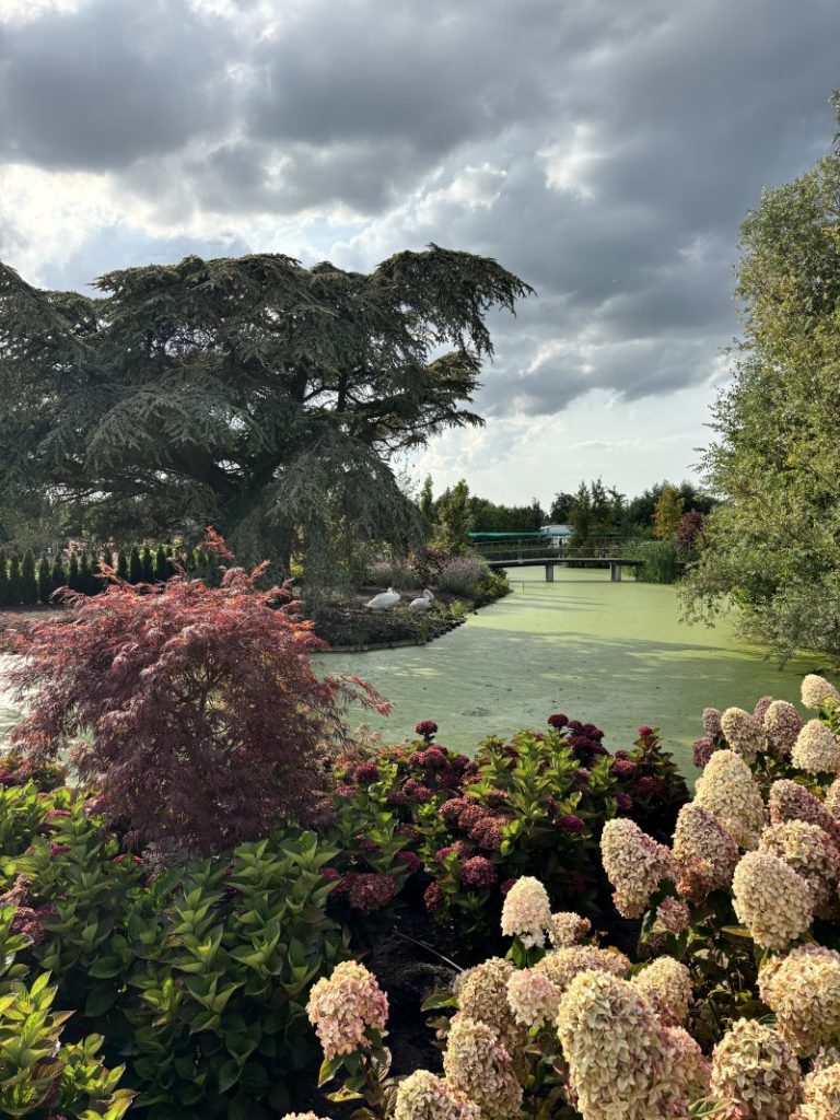 Öffentlicher Schaugarten in Boskoop
