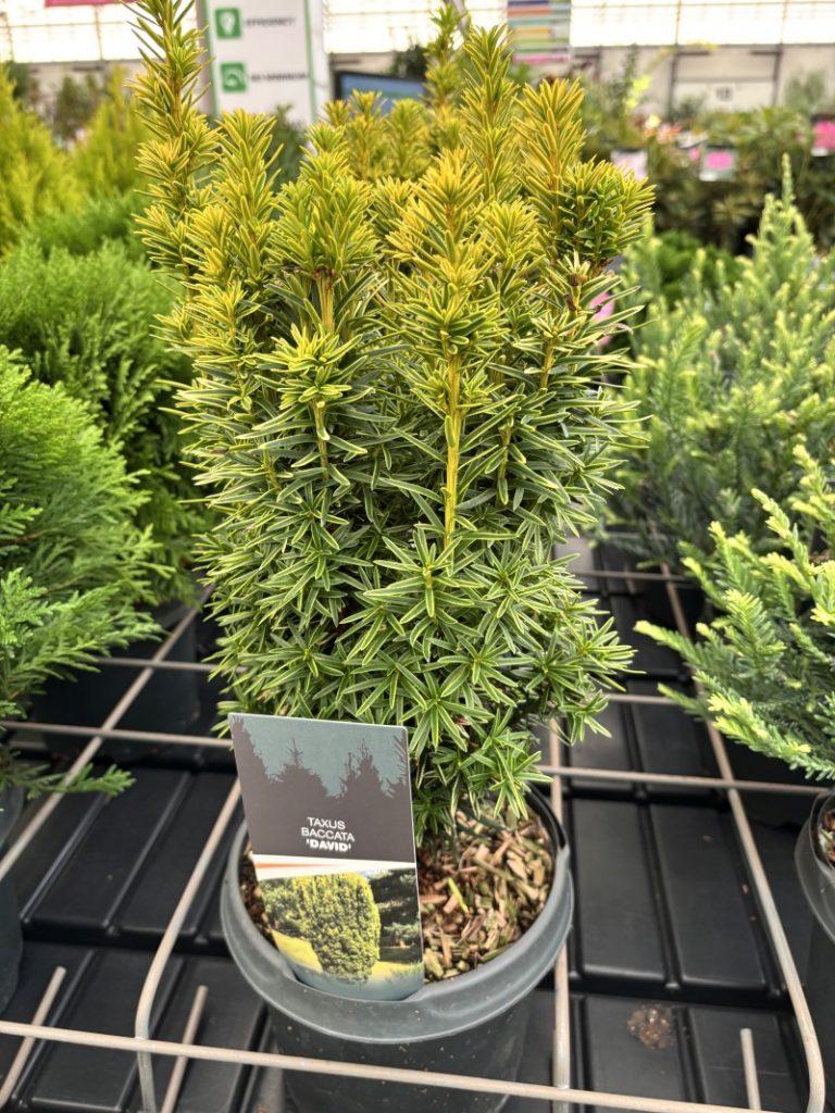Plantarium