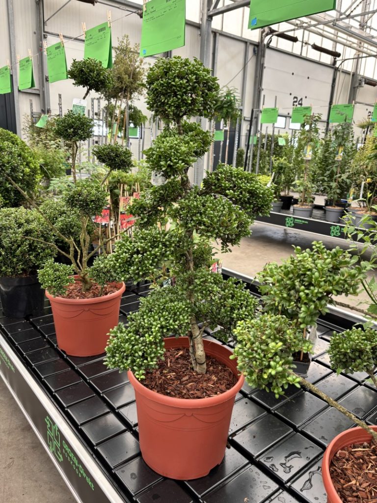 Plantarium