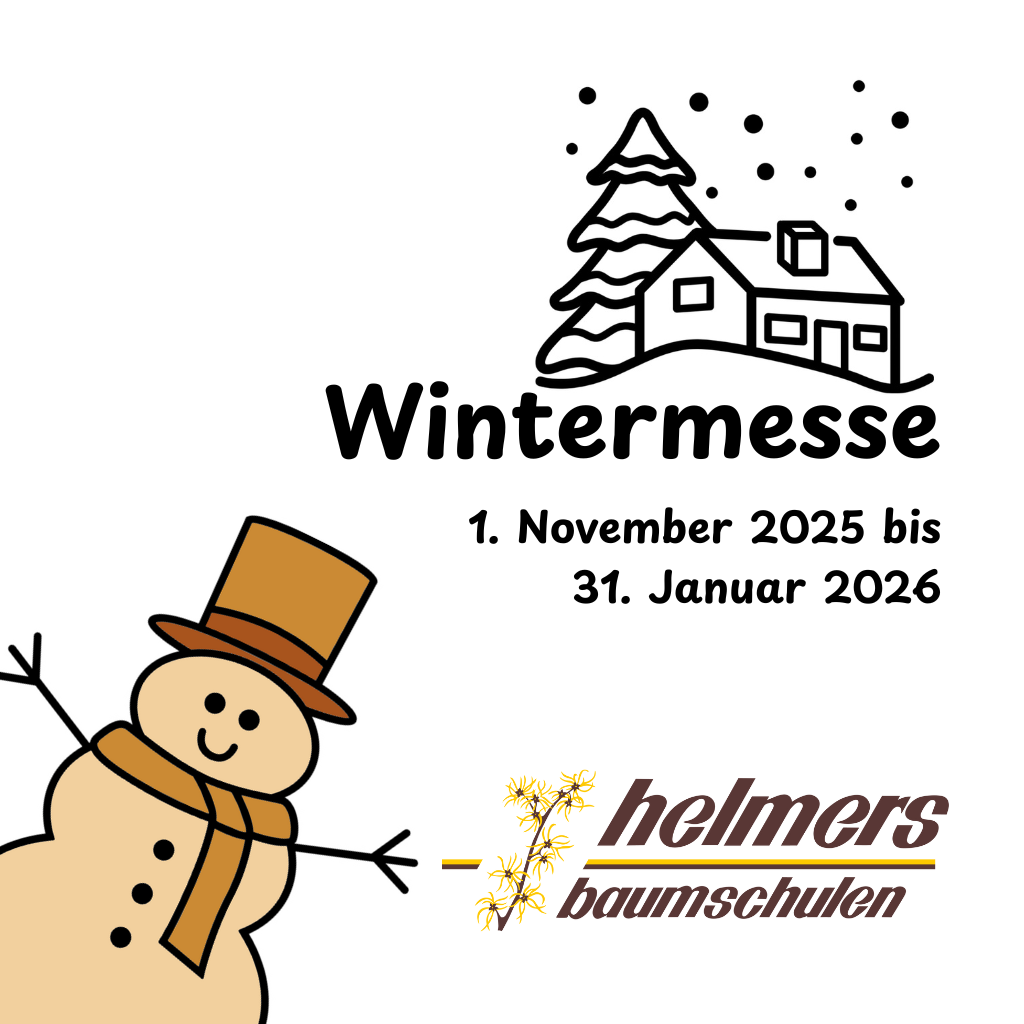 Einladung zur 24. Wintermesse bei Helmers Baumschulen GmbH