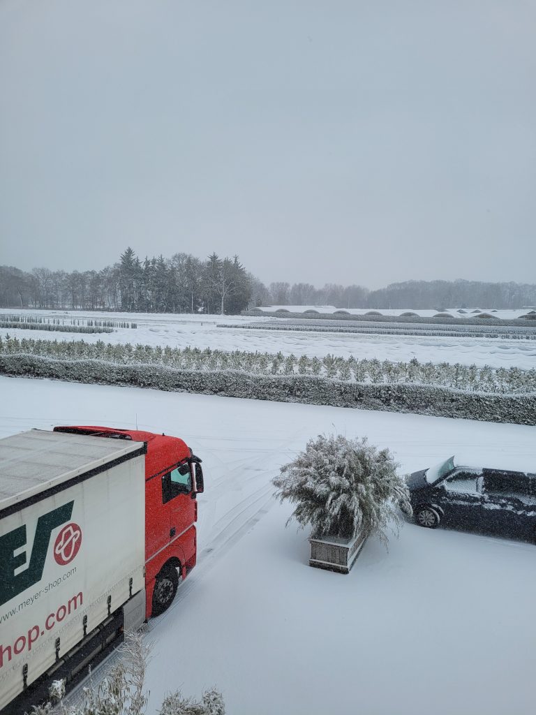 Blick aus dem Bürofenster auf unsere LKW Haltebuchten mit LKW davor