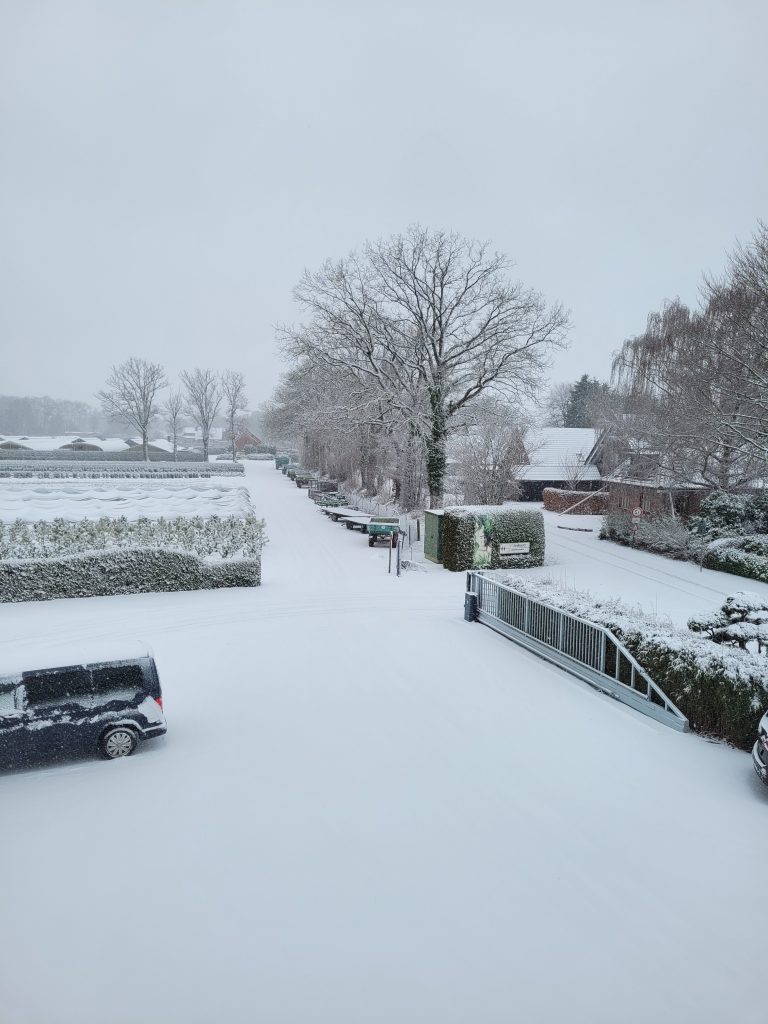 Blick aus dem Bürofenster auf unsere Hofeinfahrt