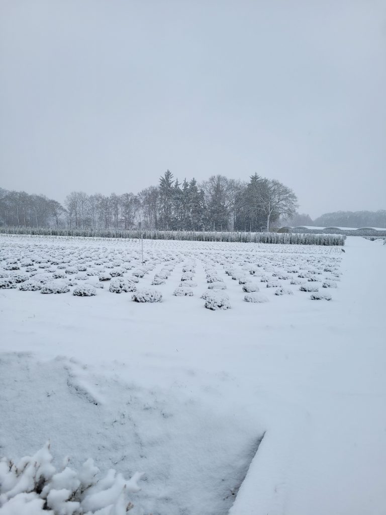 Blick in die Ferne auf Freilandkulturen
