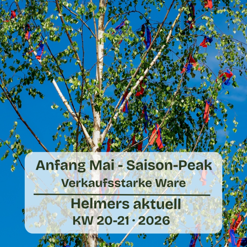 Aktuelle Pflanzen für die Kalenderwochen 20-21 / 2026