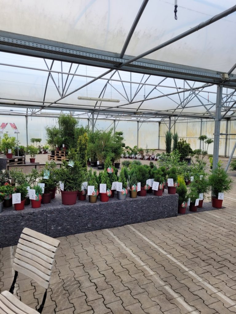 Helmers Sommermesse 2026