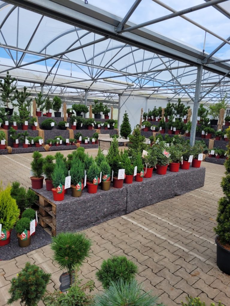 Helmers Sommermesse 2026