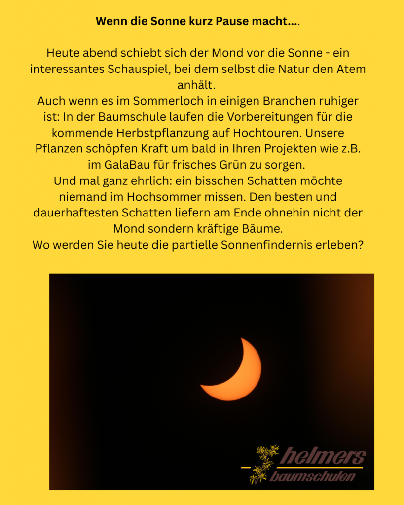 Text über die partielle Sonnenfinsternis und ein Bild einer halb durch den Mond bedeckten Sonne