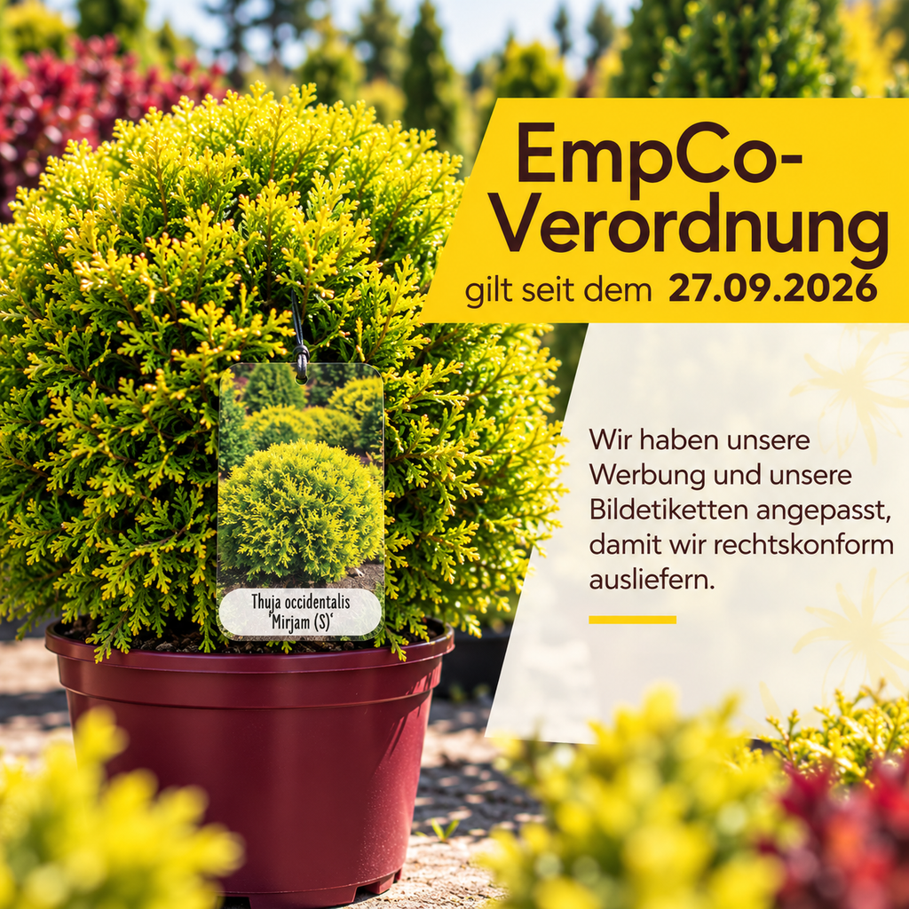 EmpCo-Verordnung